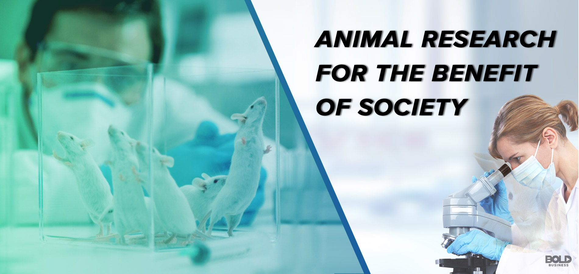research on animals should it be encouraged
